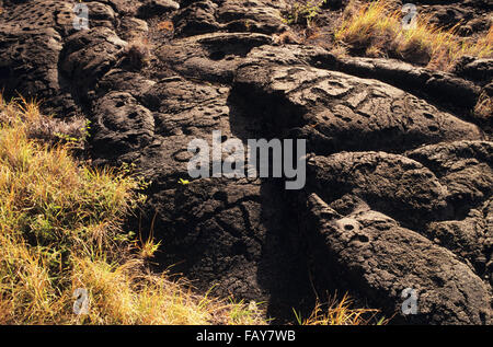 Big Island, Hawaii, Hawaii Volacoes National Park, Pu`uloa Petroglyphs in the ahupua`a(land division) of Panau Nui Stock Photo